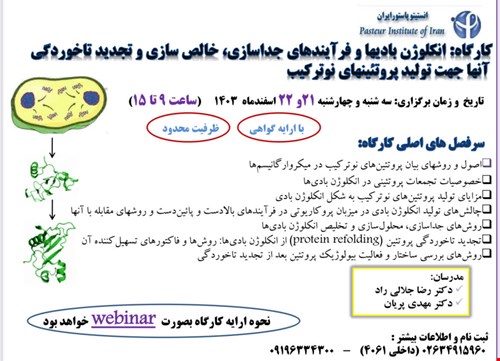 کارگاه: انکلوژن بادی ها و فرآیندهای جداسازی، خالص سازی و تجدید تاخوردگی آنها جهت تولید و پروتئین های نوترکیب